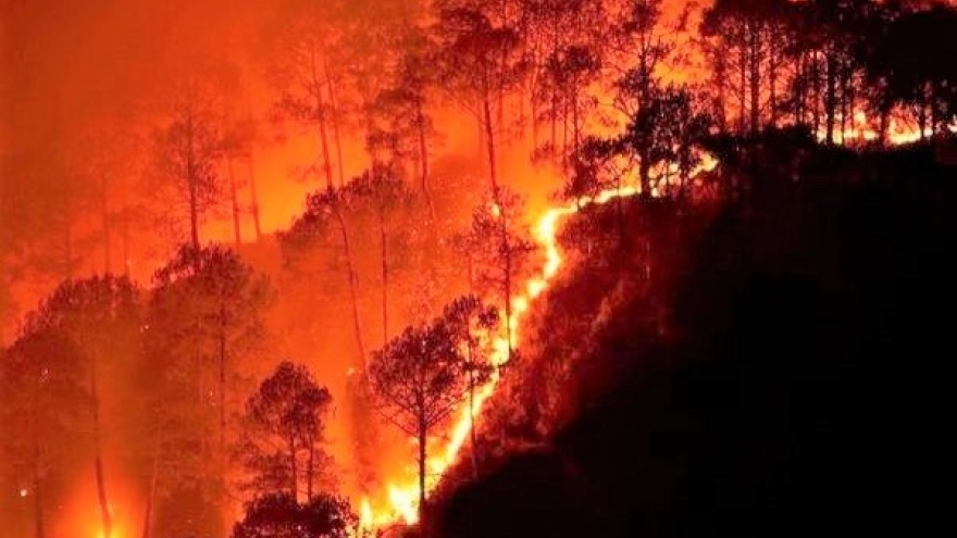 10 vụ cháy rừng tồi tệ nhất thế giới từng chứng kiến